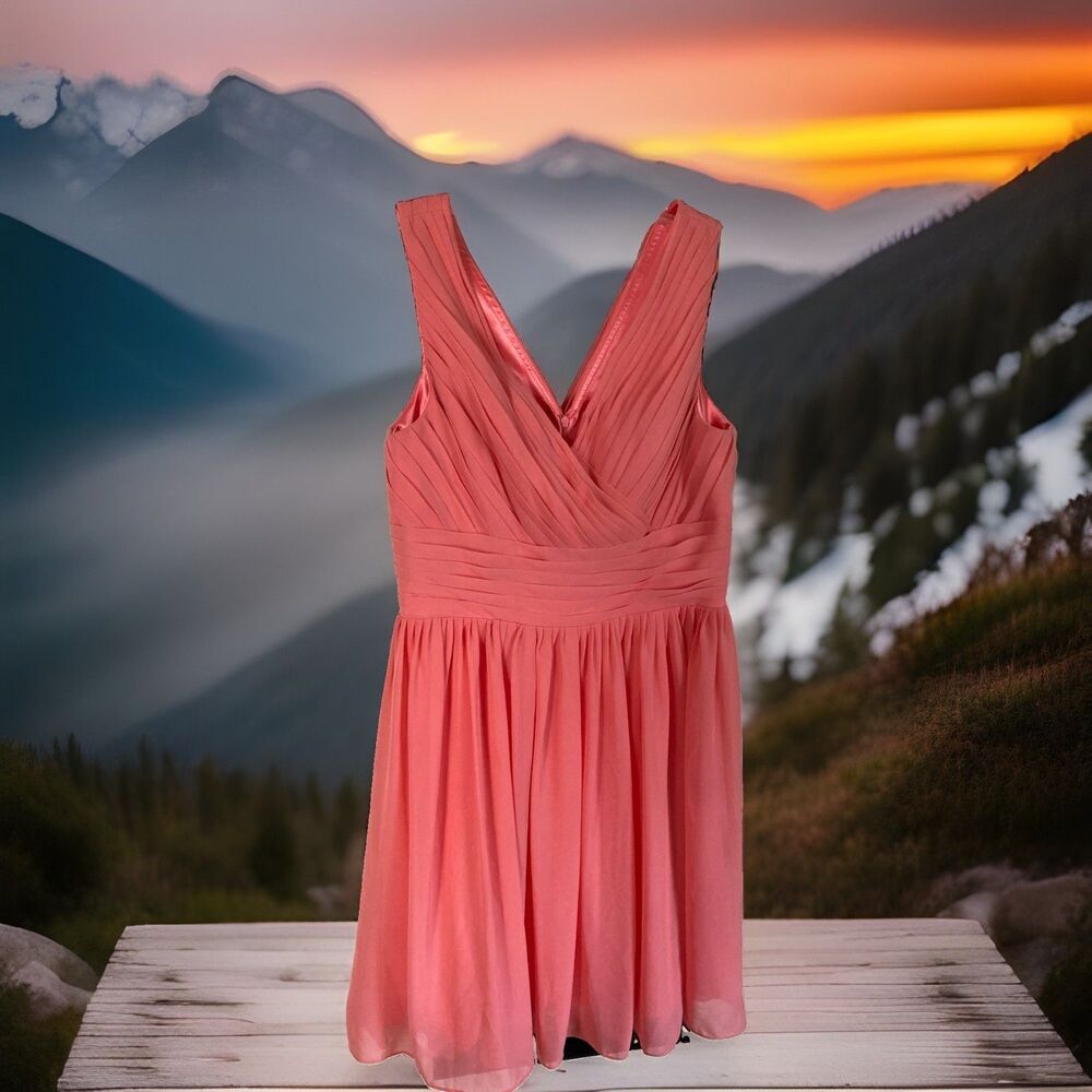 Unbranded Dress Coral Pleated Lined Back Zip Sleeveless 1X? No Tags Good Cond.